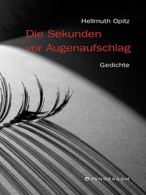 cover image of Die Sekunden vor Augenaufschlag